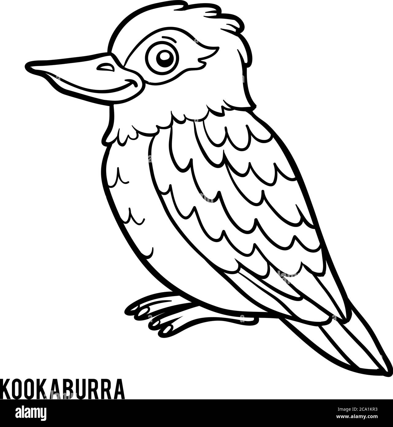 Coloring book for children kookaburra stock vector image art