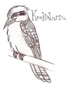 Kookaburra coloring page kids sketch coloring page animal doodles coloring pages children sketch