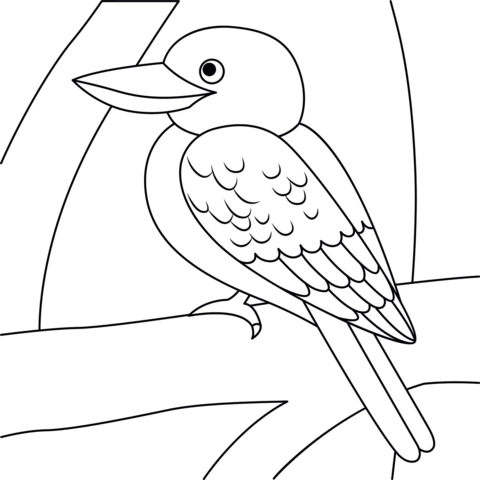 Kookaburra coloring page free printable coloring pages