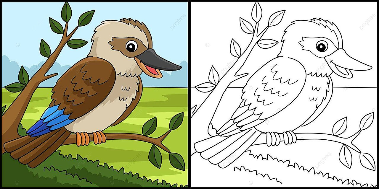 Kookaburra animal coloring page illustration design kingfishers australian vector fish drawing animal drawing rat drawing png and vector with transparent background for free download