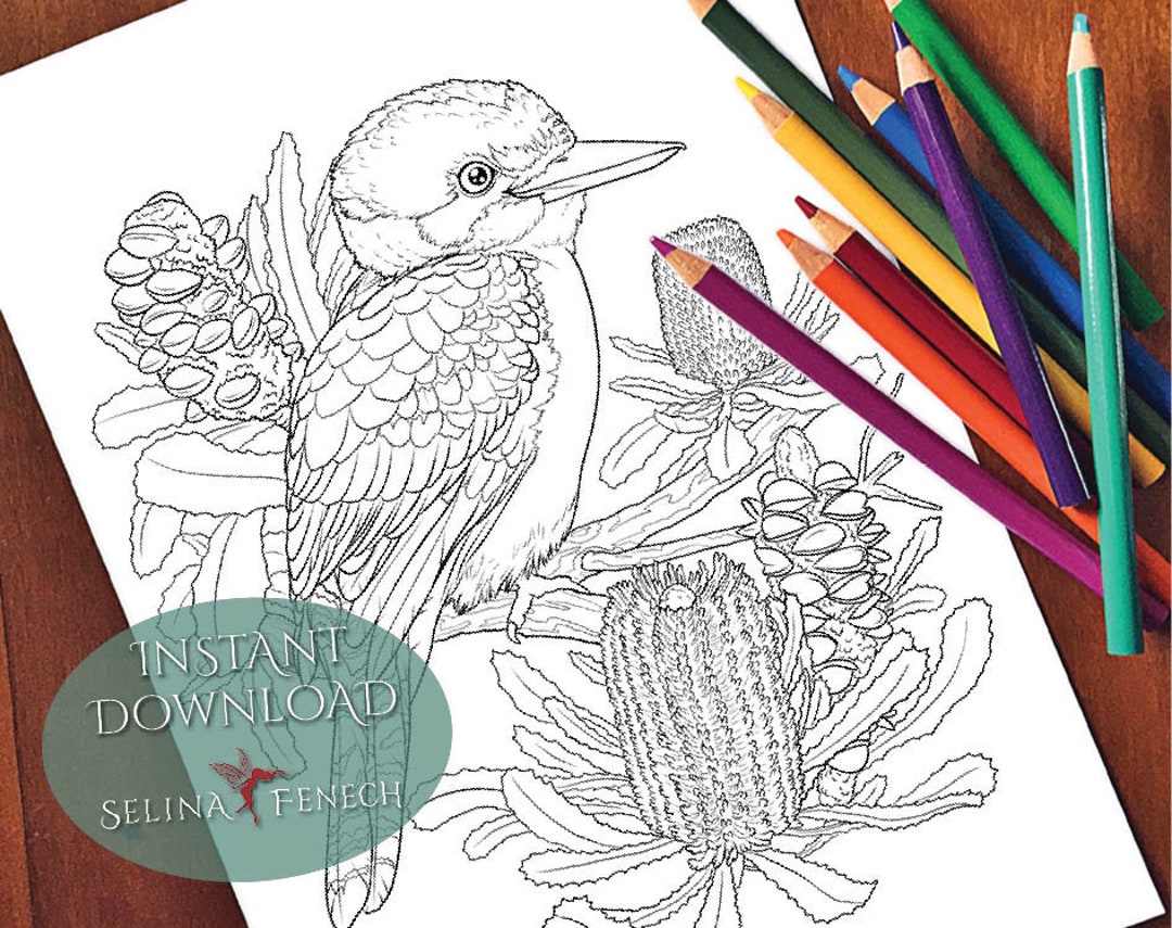 Kookaburra australian animals and wildflowers coloring pagedigi stamp fantasy printable download by selina fenech