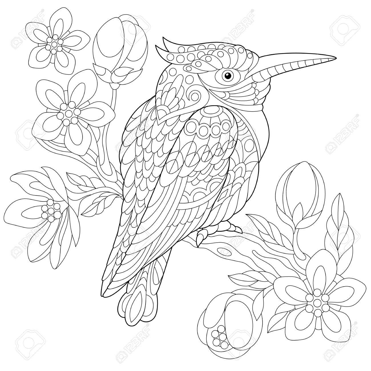 Coloring page of australian kookaburra royalty free svg cliparts vectors and stock illustration image