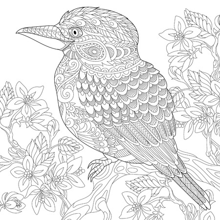 Stylized australian kookaburra bird and cherry blossoming tree freehand sketch for adult anti stress coloring book page with doodle and zentangle elements ù ùùø øªøµù ùù ù