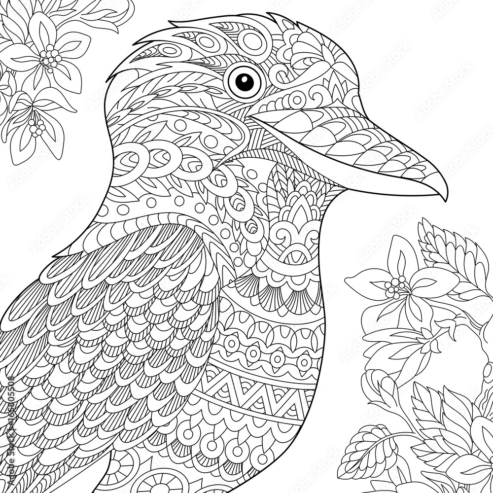 Coloring page australian kookaburra bird freehand sketch drawing for adult antistress coloring book in zentangle style vector