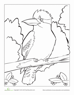 Kookaburra coloring page sketch coloring page coloring pages bird drawings mosaic birds