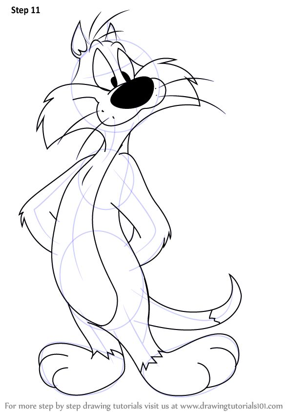 Step by step how to draw sylvester from looney tunes looney tunes cartoons cartoon drawings drawings