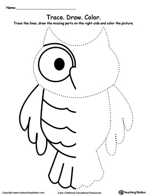 Free trace and draw missing lines to make an owl