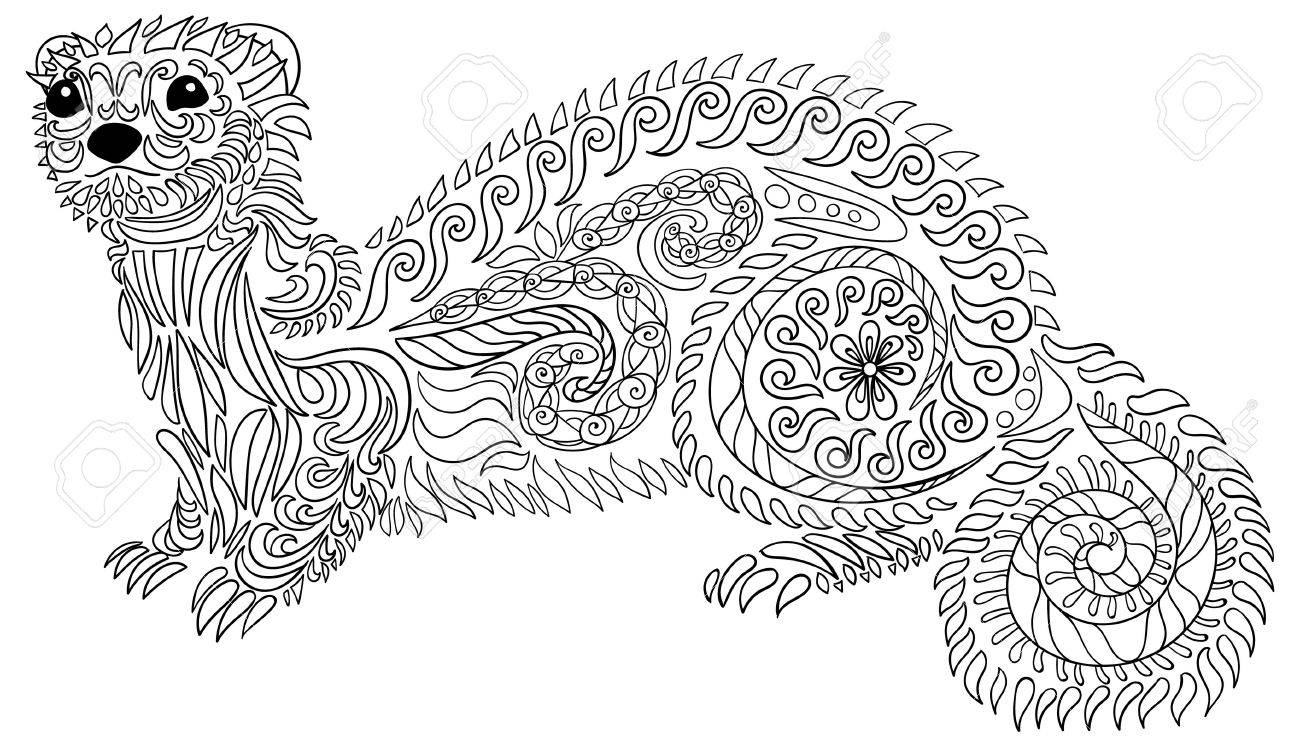 Hand drawn ferret style with high detailscoloring page for anti