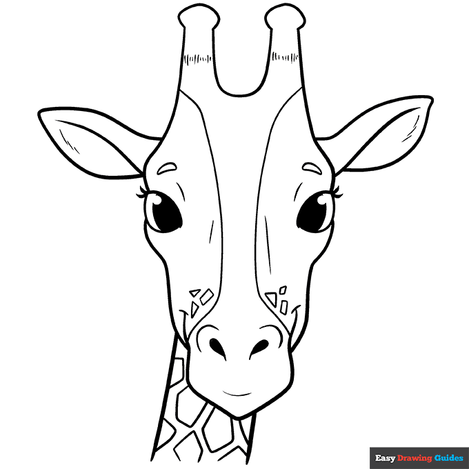 Giraffe head and face coloring page easy drawing guides