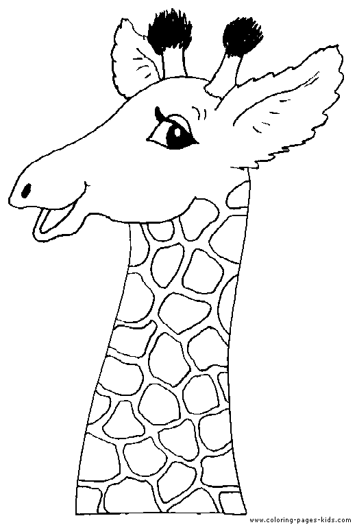 Head of a giraffe color page giraffe coloring pages animal coloring pages giraffe colors