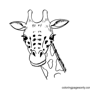 Giraffes coloring pages printable for free download