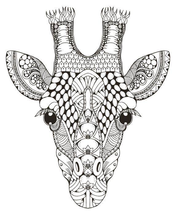 A giraffe head coloring picture with intricate detail giraffe coloring pages mandala coloring pages animal coloring pages