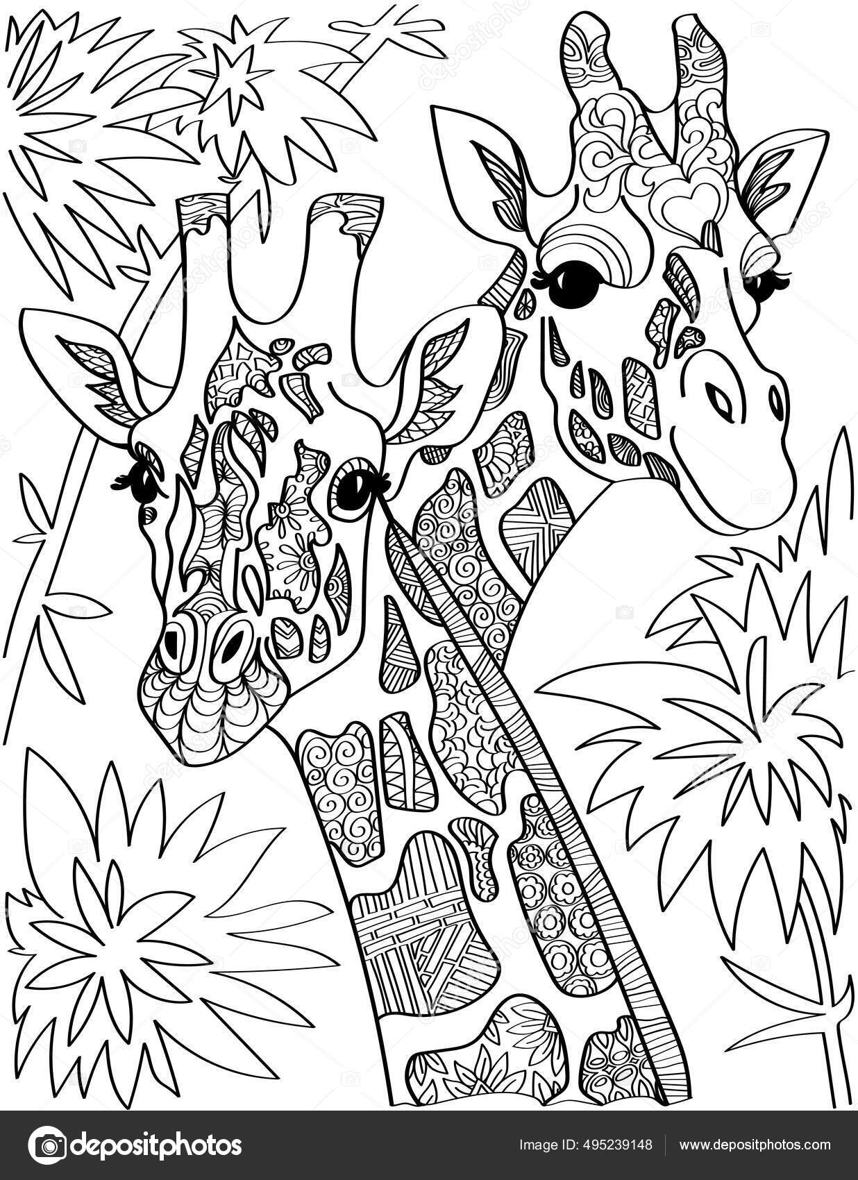 Two giraffe head looking at both sides with tall trees colorless line drawing giraffa heads long neck with leaves background coloring book page stock vector by nialowwa