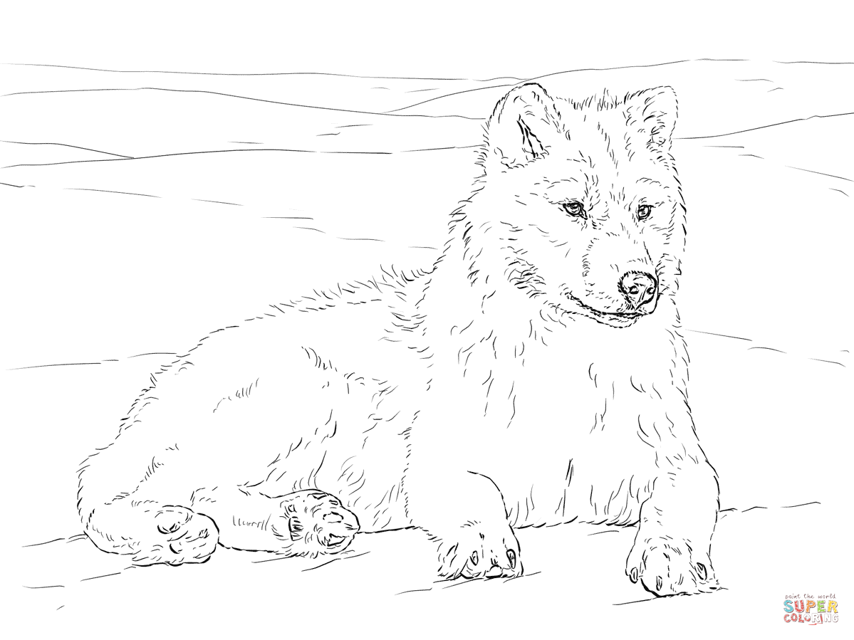 Arctic wolf coloring page free printable coloring pages dog coloring page wolf colors arctic wolf