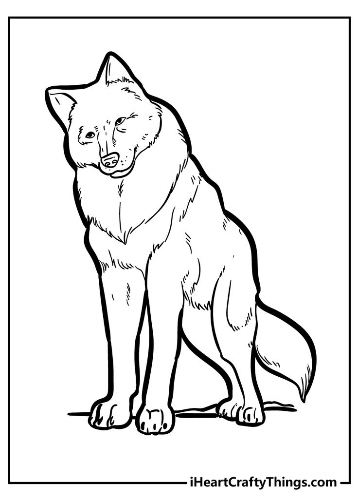 Wolf coloring pages wolf colors coloring pages mexican gray wolf