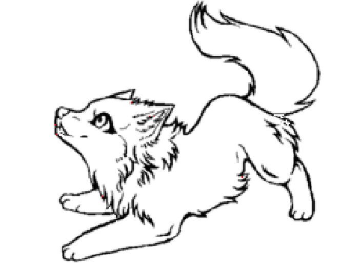 Cute arctic wolf coloring pages cute wolf drawings wolf sketch baby wolf