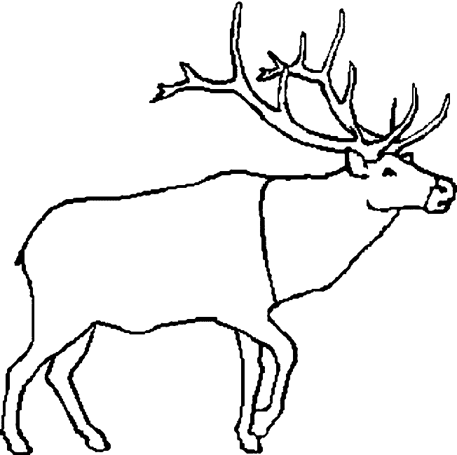 Caribou coloring page