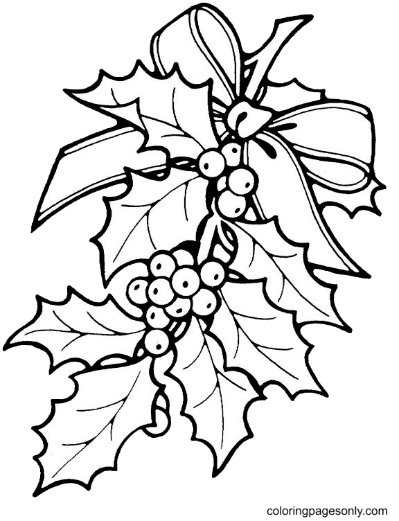 Christmas holly coloring pages printable for free download