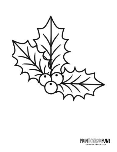 Holly clipart coloring pages for festive christmas crafting fun at