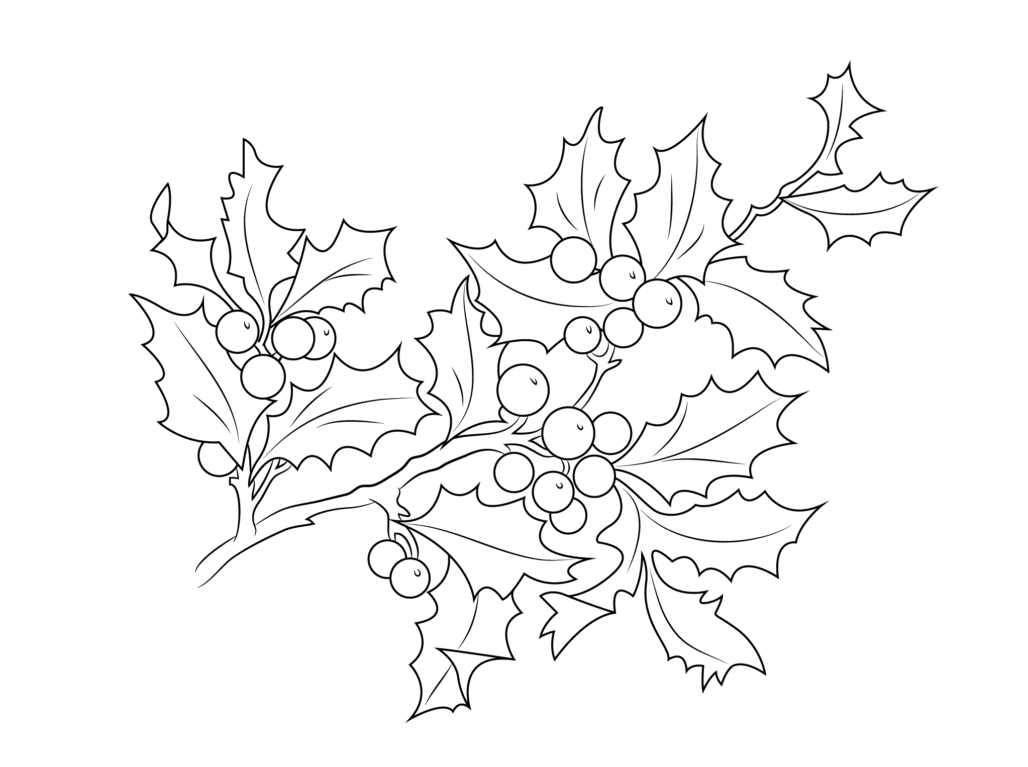 Holly coloring pages