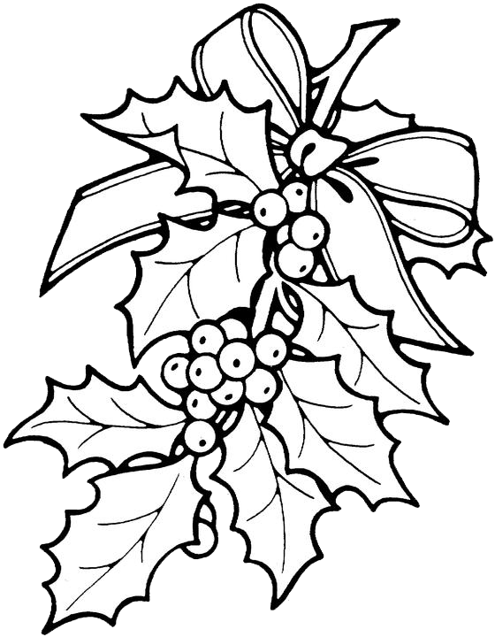 Christmas holly coloring pages purple kitty