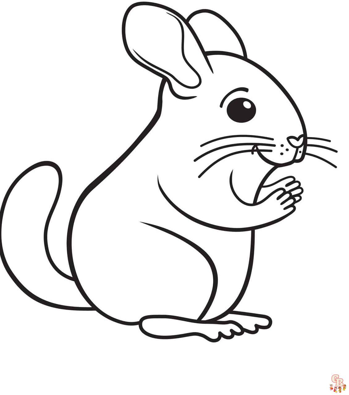 Printable chinchilla coloring pages free for kids and adults