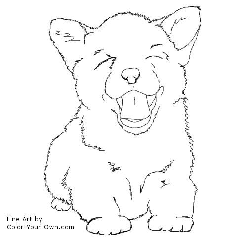 Corgi puppy coloring page puppy coloring pages dog coloring page corgi puppy