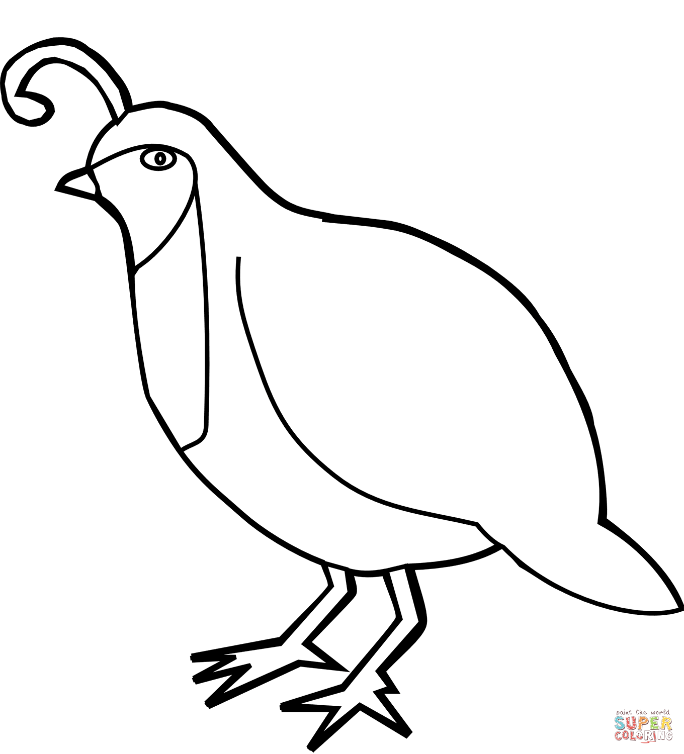 Quail ground dwelling bird coloring page free printable coloring pages