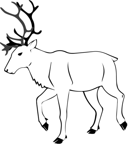 Caribou coloring page free printable coloring pages