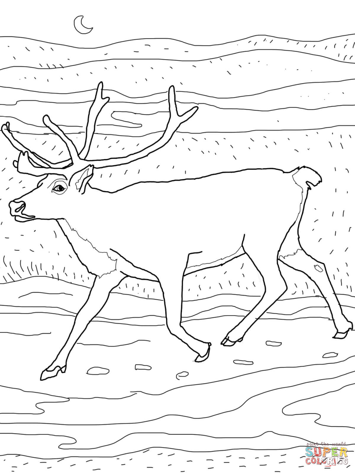 Caribou coloring page free printable coloring pages