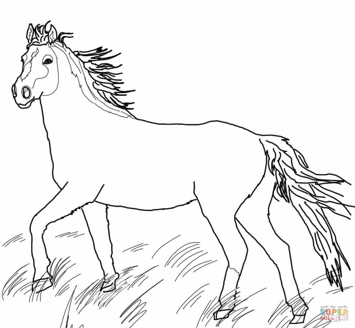 Mustang wild horse coloring page free printable coloring pages