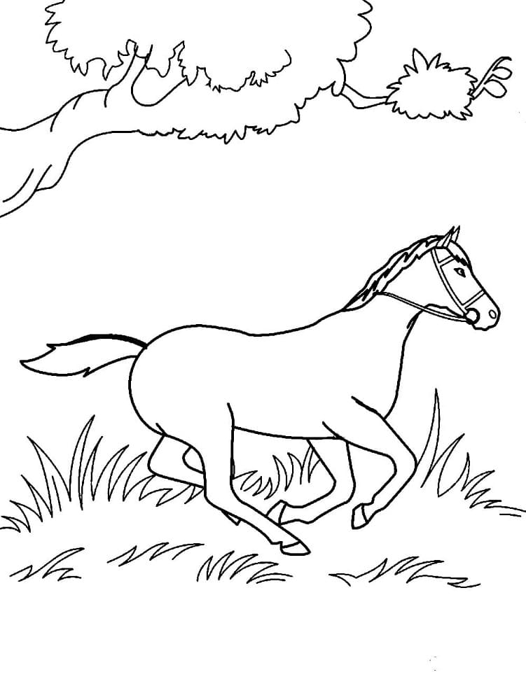A wild horse coloring page