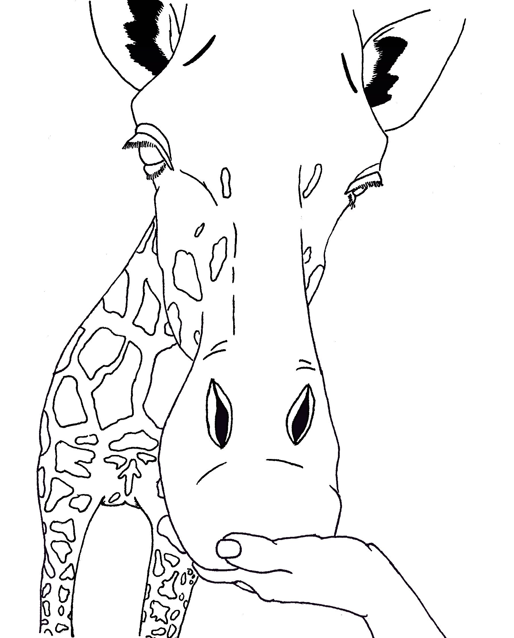 Free printable giraffe coloring pages for kids