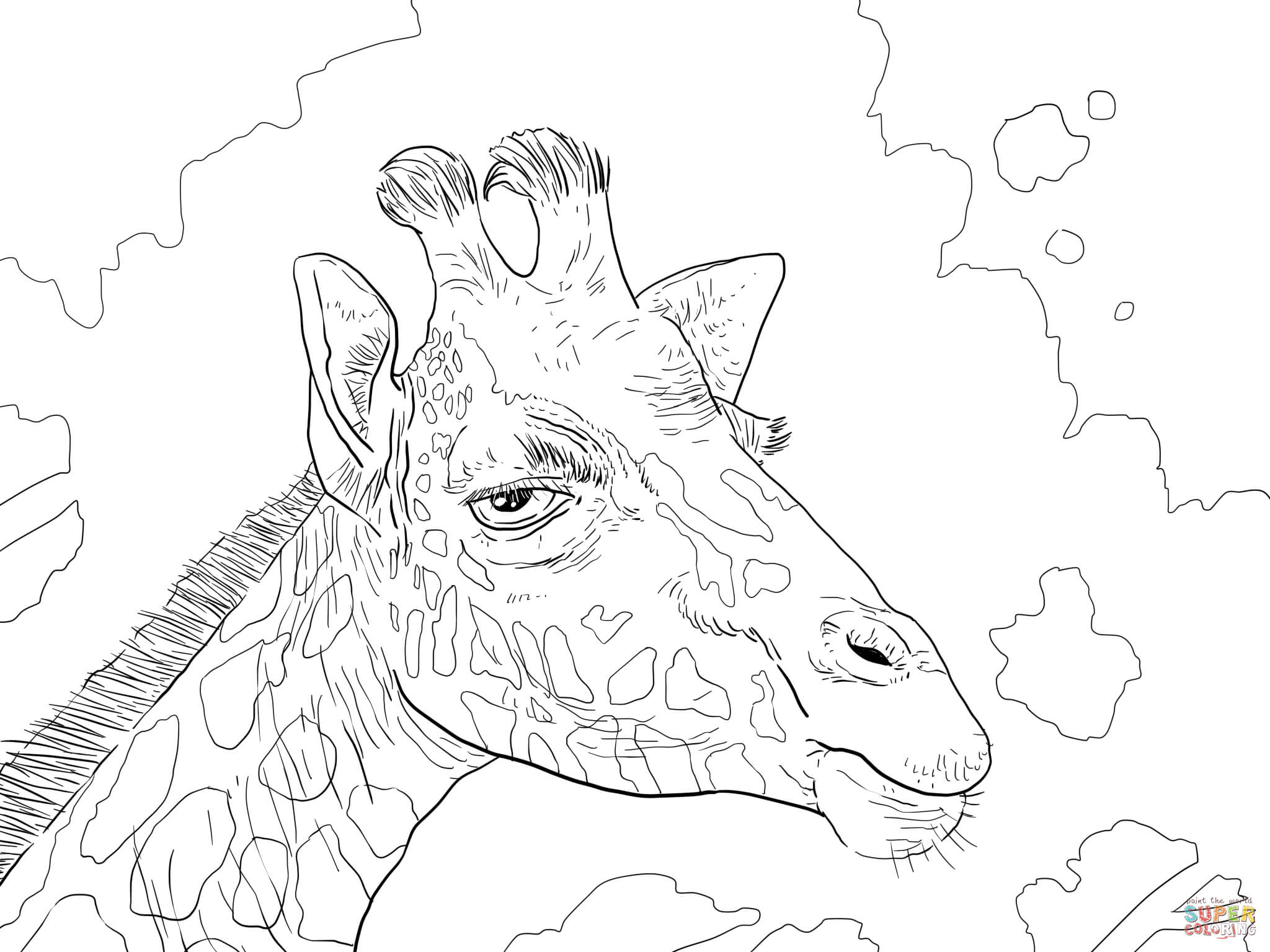 Rothschild giraffe head coloring page free printable coloring pages