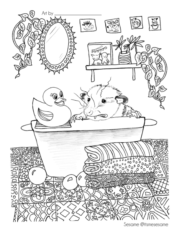 Official sesame coloring book