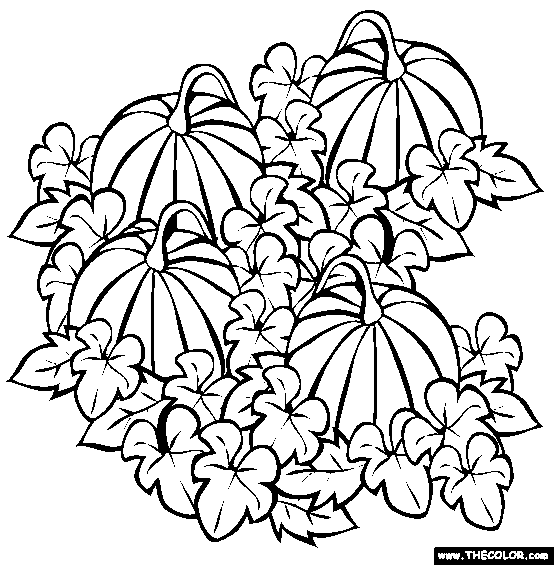 Pupkin patch coloring page free pupkin patch online coloring