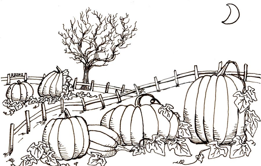 Pumpkin patch pumpkin coloring pages farm coloring pages pumpkin drawing