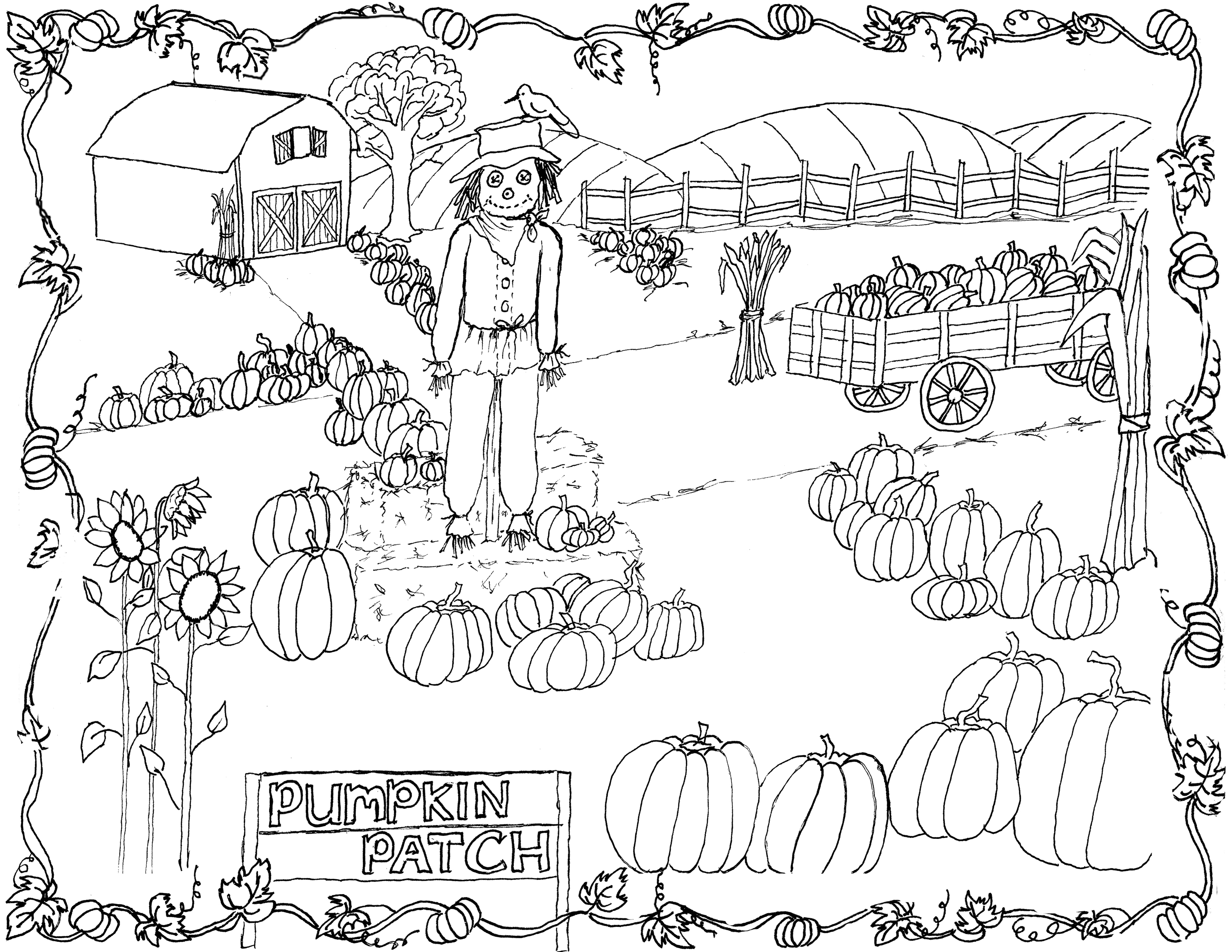 Pumpkin patch coloring page printable