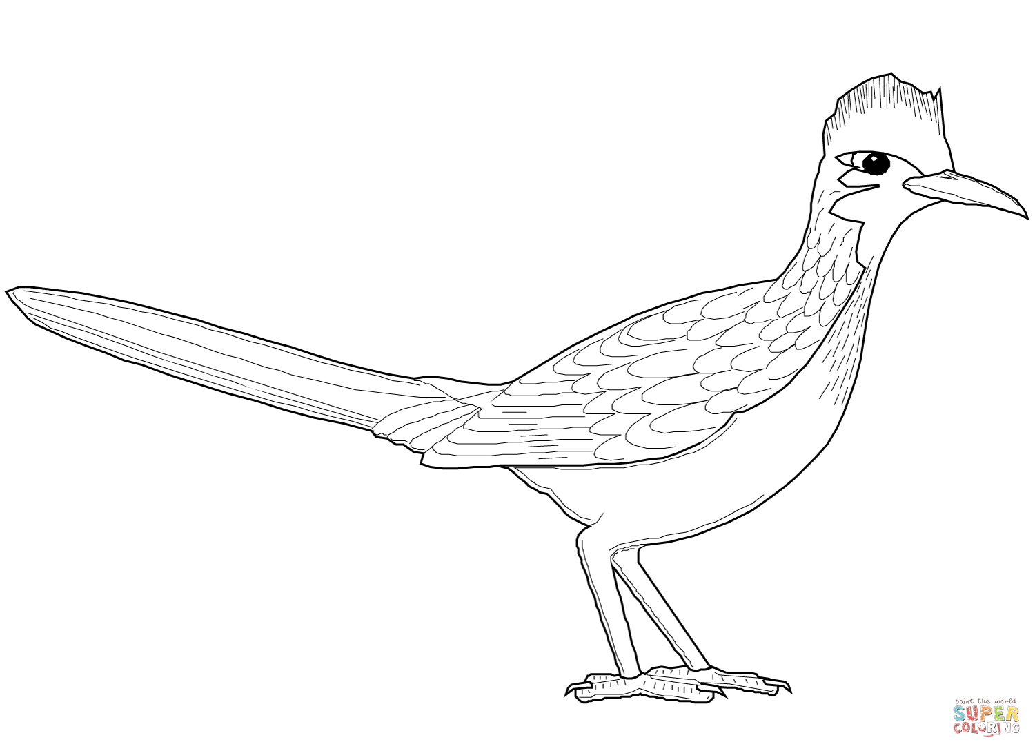 Roadrunner coloring page free printable coloring pages