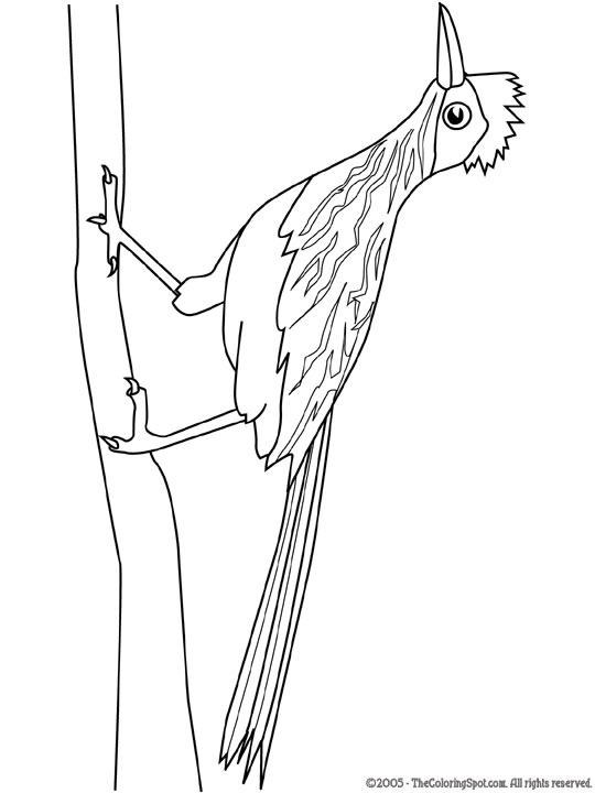 Roadrunner coloring page audio stories for kids free coloring pages colouring printables