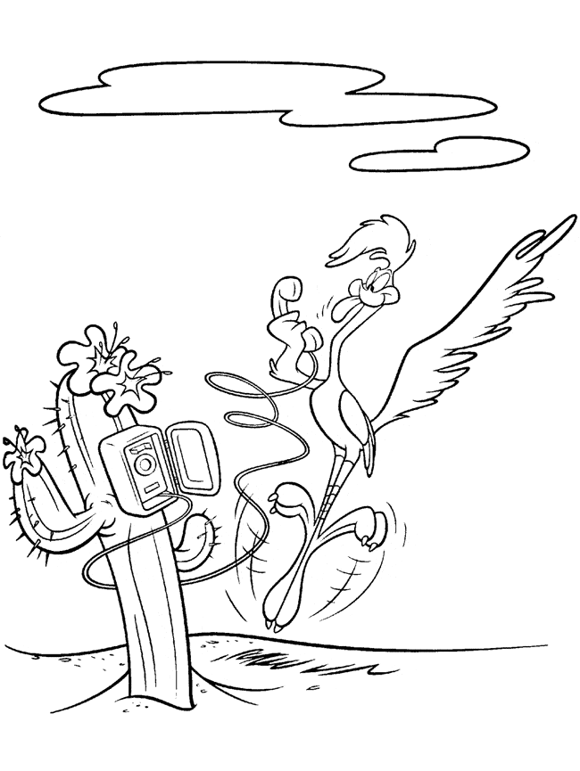 Roadrunner coloring page