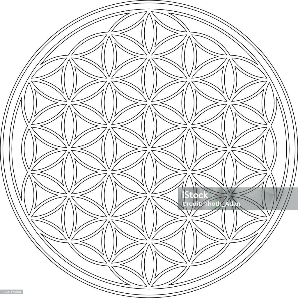 Flower of life drawing stock illustration