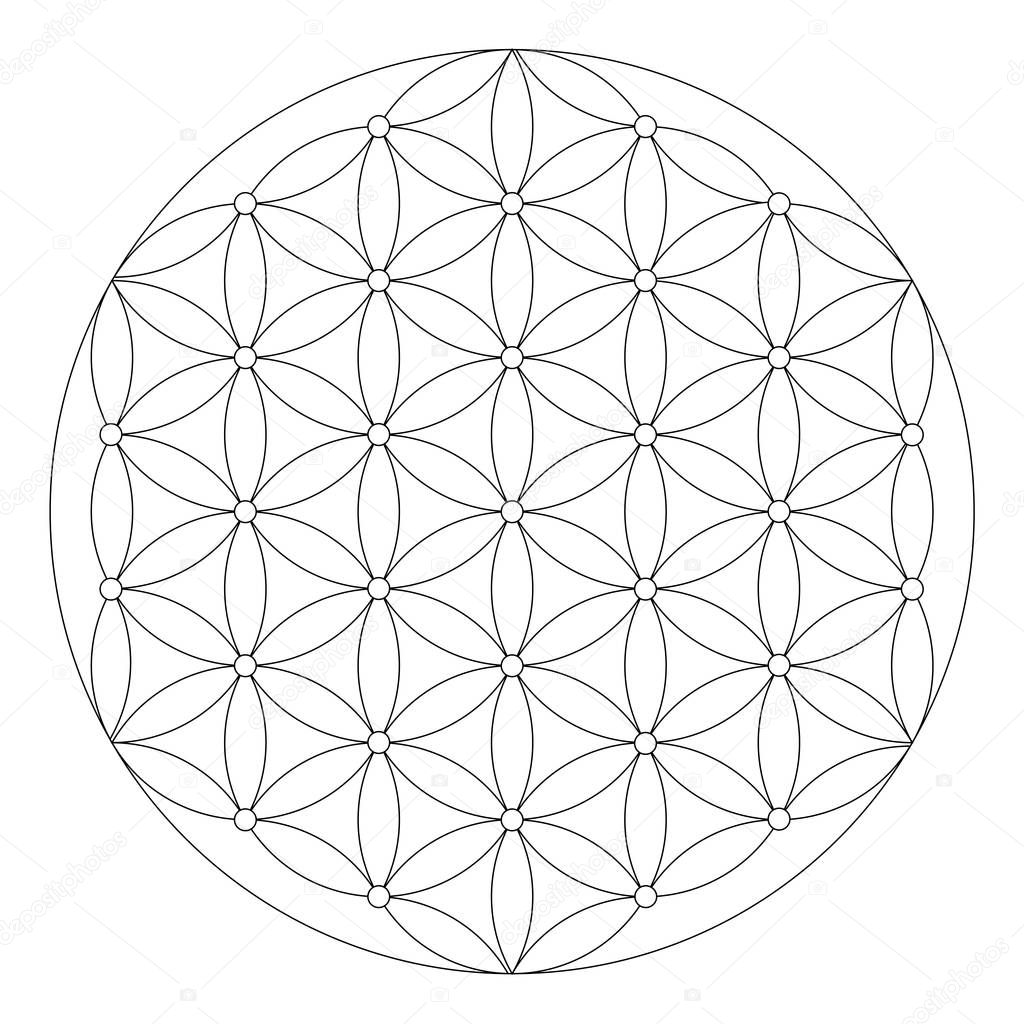 Flower of life symbol coloring page stock illustration by smk