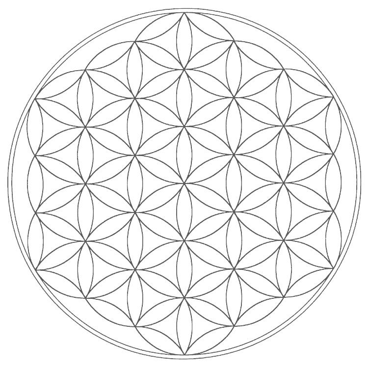 The flower of life geometric coloring pages flower of life sacred geometry