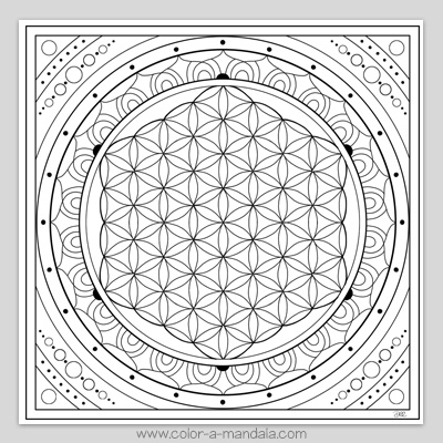 Sacred geometry flower of life coloring page m