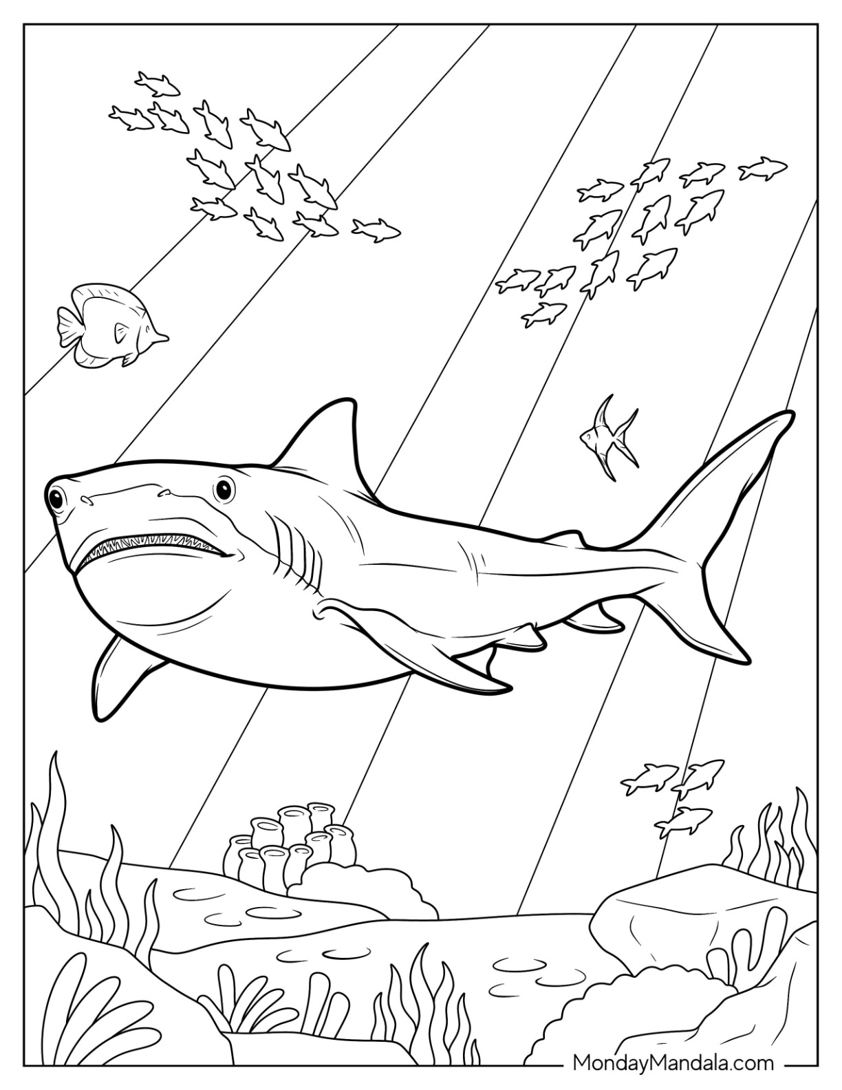 Shark coloring pages free pdf printables