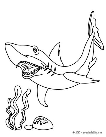 Tiger shark coloring pages