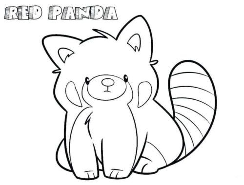 Red panda coloring pages panda coloring pages monkey coloring pages panda sketch