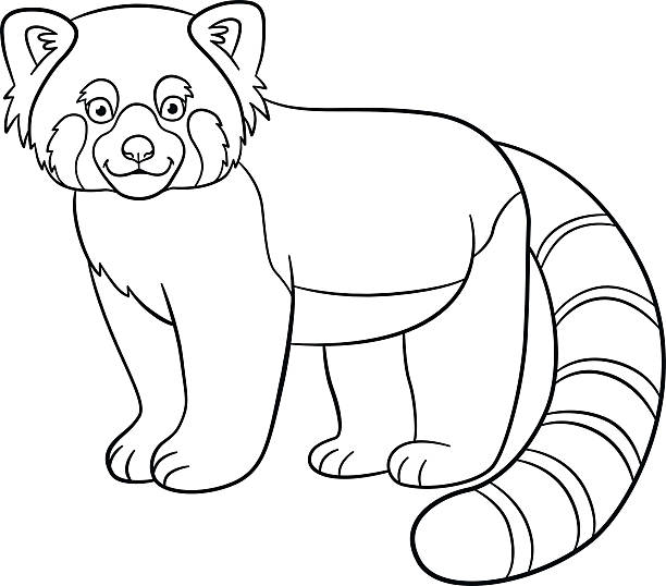 Coloring pages little cute red panda smiles stock illustration