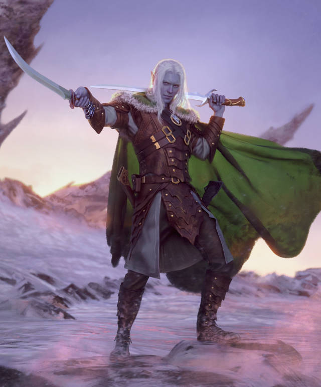 Legend of drizzt dungeons dragons